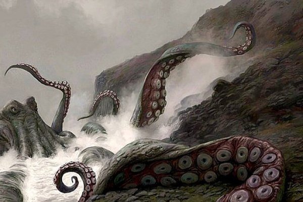 Kraken как найти ссылку